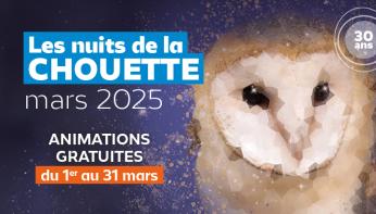 Nuit de la chouette