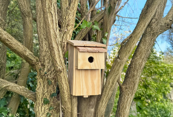 Nichoirs oiseaux
