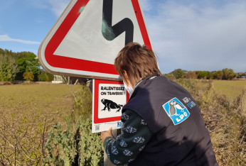 Protection faune sauvage