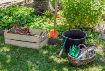 Solutions de jardinage écologique