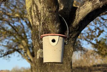 Nichoirs modulables