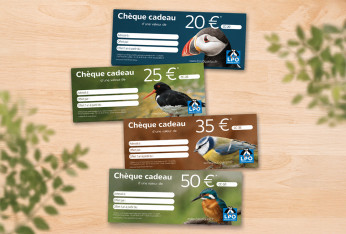 Cartes cadeaux LPO