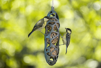 Mangeoires oiseaux