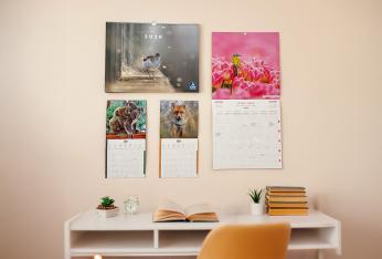 Calendriers et agendas