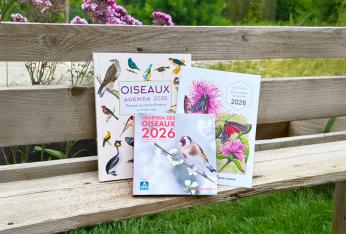 Calendriers et agendas