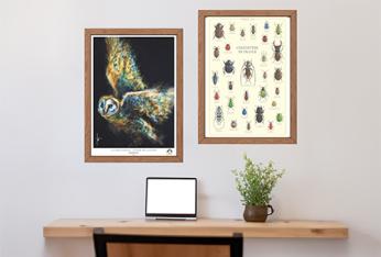 Posters et affiches