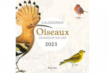 Calendriers