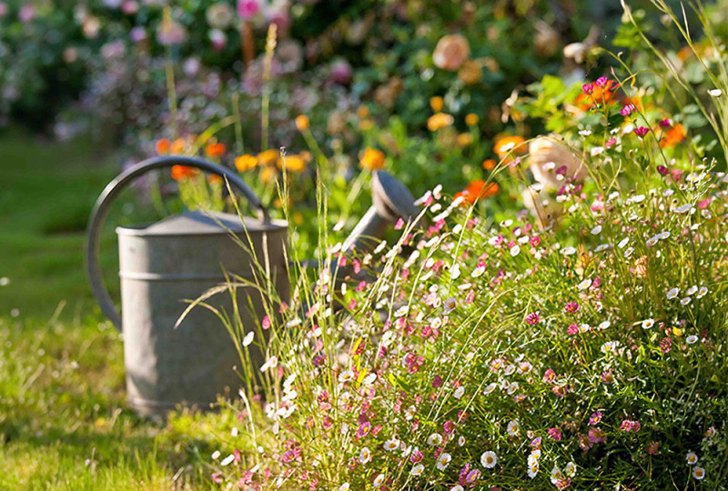Jardins et biodiversité