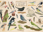 Puzzle bois 100 pièces - Les oiseaux du jardin