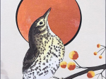 Carte postale Grive musicienne
