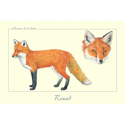 Carte Postale simple 10 X 15 cm Renard roux