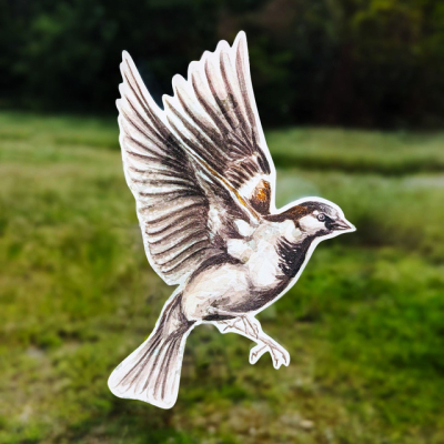 Anti-collisions électrostatiques Oiseaux des jardins - Lot de 4