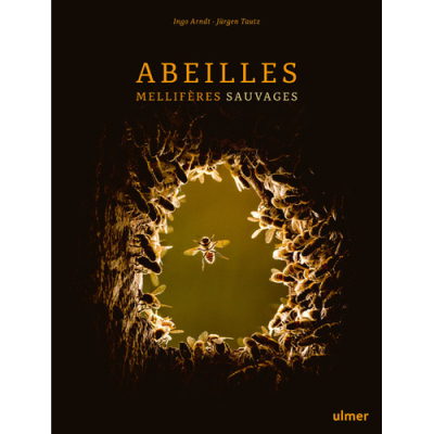 Abeilles mellifères sauvages