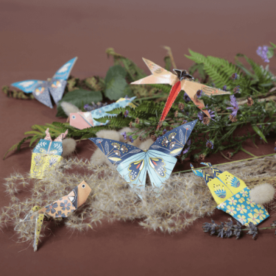 Kit Origami, Insectes
