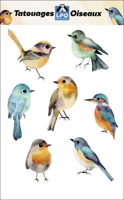 Pochette tatouages LPO Oiseaux