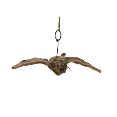 Peluche chauve-souris 24 cm