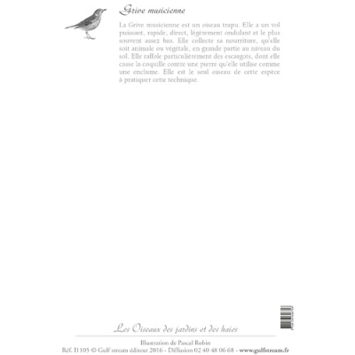 Carte Postale simple 10 x 15 cm Grive musicienne