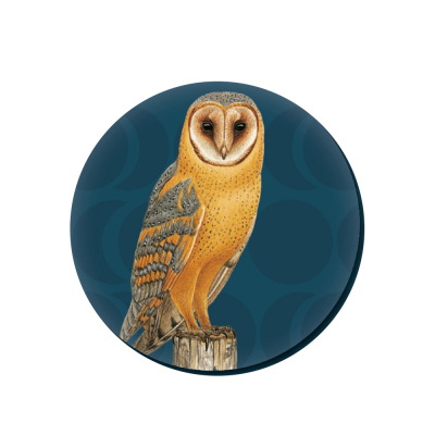 Magnet intelligent LPO - Effraie des clochers