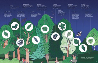 Ma première série documentaire L'Ecologie, La vie de la forêt
