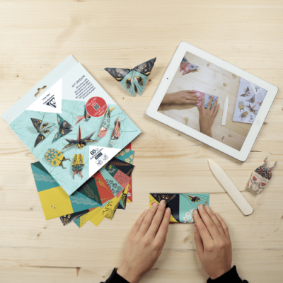Kit Origami, Insectes