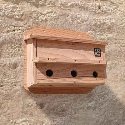 Nichoir LPO colonie de moineaux