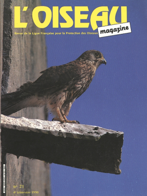 L'Oiseau Mag n° 21