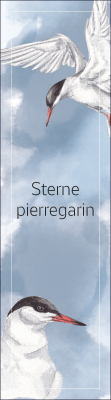 Marque-page LPO Collection littoral Sterne pierregarin