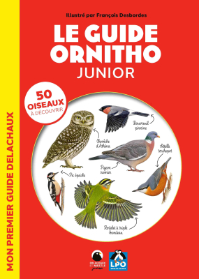 Le guide ornitho junior