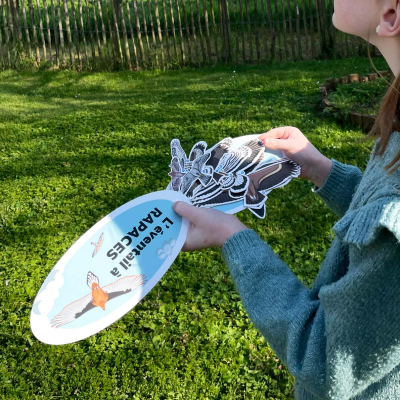 Éventail pédagogique LPO - Identifier les rapaces