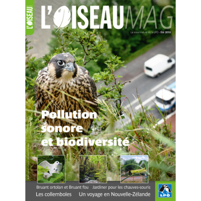 L'Oiseau Mag n° 131