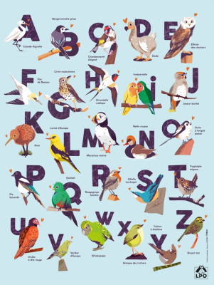 Poster LPO 60 x 80 cm - Abécédaire des oiseaux