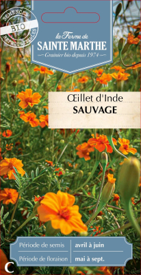 Graines Bio Oeillet d'Inde Sauvage Tagete Patula