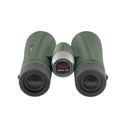 Jumelles Kowa BD II 10x42