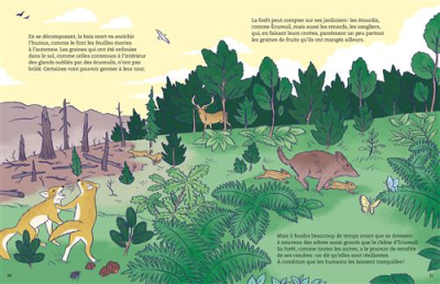 Ma première série documentaire L'Ecologie, La vie de la forêt