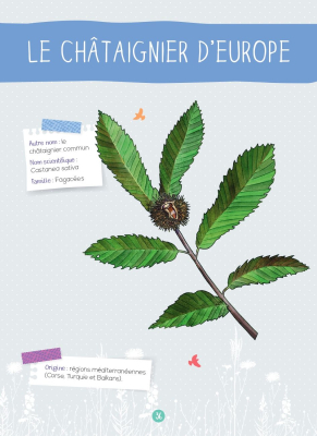 Mon petit guide nature, Les arbres