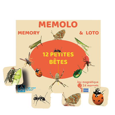 Memolo XL - 12 petites bêtes