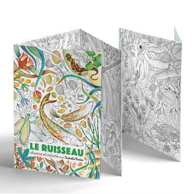 Le ruisseau