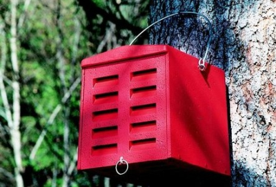 Abri à chrysopes Schwegler