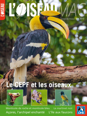 L'Oiseau Mag n°111