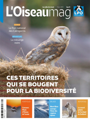 L'Oiseau Magazine N°161 - Hiver 2025