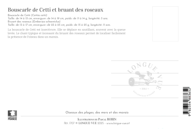 Carte postale naturaliste - Bouscarle de Cetti et Bruant des roseaux