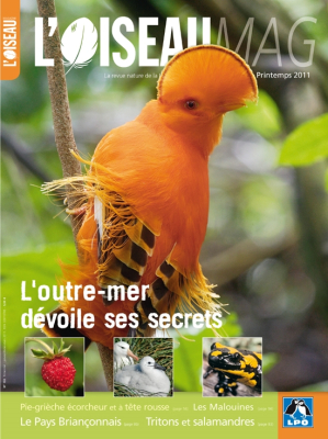 L'Oiseau Mag n°102