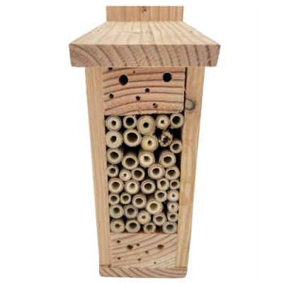 Gîte abeilles solitaires