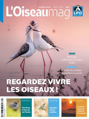 L'Oiseau Magazine N°162 - Printemps 2026
