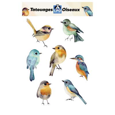 Pochette tatouages LPO Oiseaux
