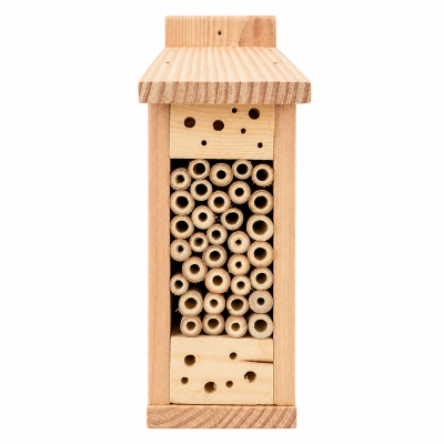 Gîte abeilles solitaires