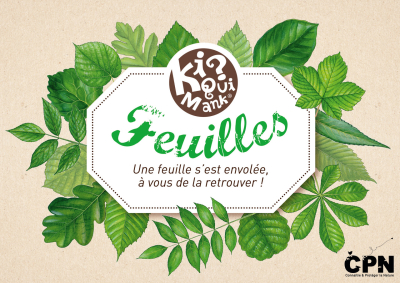 Kiquimank ? Feuilles