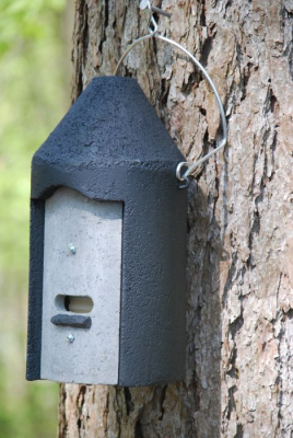 Gîte à chauve-souris Schwegler 2F DPF