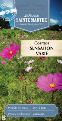 Graines Bio Cosmos Sensation varié