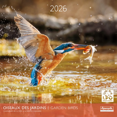 Calendrier 2026 Oiseaux 30 x 30 cm